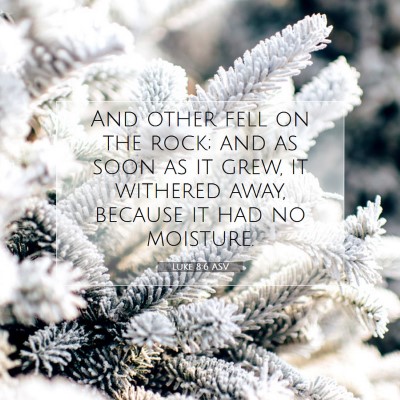 Picture 07 - Luke 8:6 ASV - And other fell on the rock; and as soon as it - Bible Verse Picture