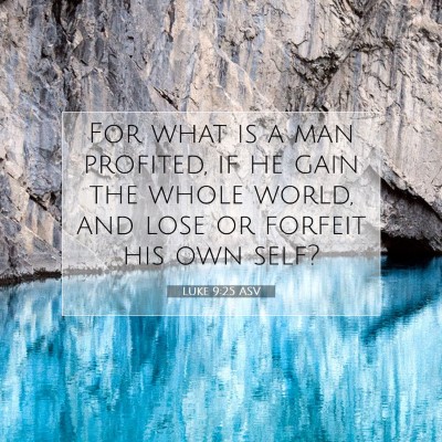 Picture 07 - Luke 9:25 ASV - For what is a man profited, if he gain the whole - Bible Verse Picture