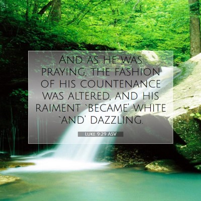 Picture 07 - Luke 9:29 ASV - And as he was praying, the fashion of his - Bible Verse Picture