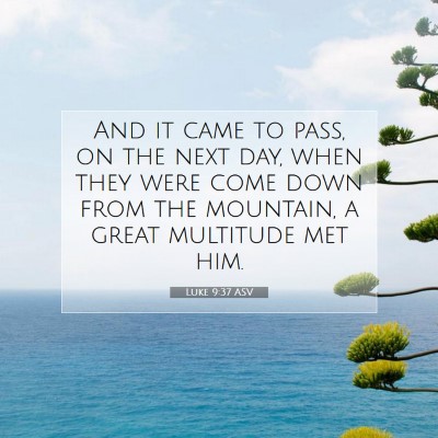Picture 07 - Luke 9:37 ASV - And it came to pass, on the next day, when they - Bible Verse Picture