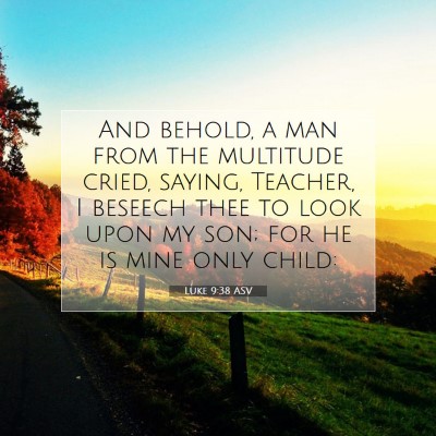 Picture 07 - Luke 9:38 ASV - And behold, a man from the multitude cried, - Bible Verse Picture