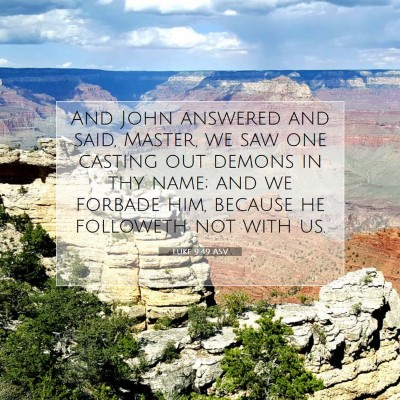 Picture 07 - Luke 9:49 ASV - And John answered and said, Master, we saw one - Bible Verse Picture