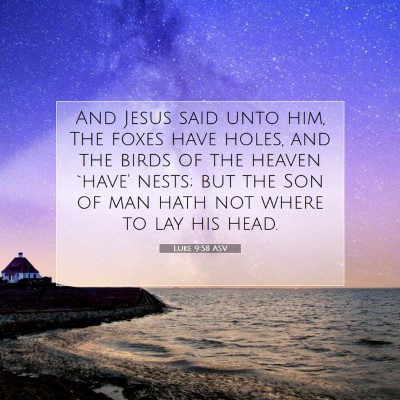Picture 07 - Luke 9:58 ASV - And Jesus said unto him, The foxes have holes, - Bible Verse Picture