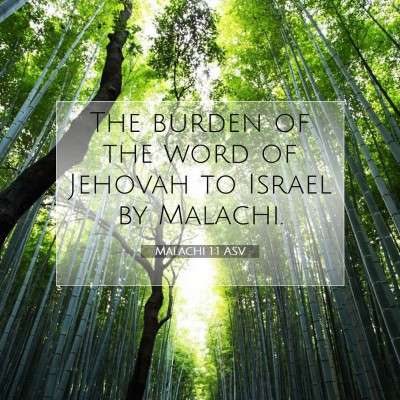 Picture 07 - Malachi 1:1 ASV - The burden of the word of Jehovah to Israel by - Bible Verse Picture