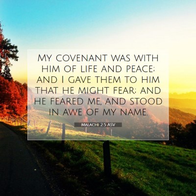 Picture 07 - Malachi 2:5 ASV - My covenant was with him of life and peace; and I - Bible Verse Picture