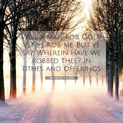 Picture 07 - Malachi 3:8 ASV - Will a man rob God? yet ye rob me. But ye say, - Bible Verse Picture