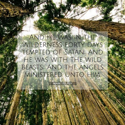 Picture 07 - Mark 1:13 ASV - And he was in the wilderness forty days tempted - Bible Verse Picture