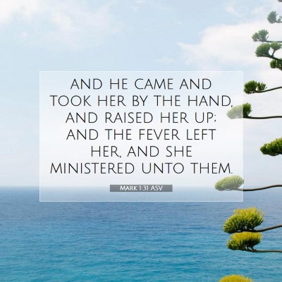 Picture 07 - Mark 1:31 ASV - and he came and took her by the hand, and raised - Bible Verse Picture