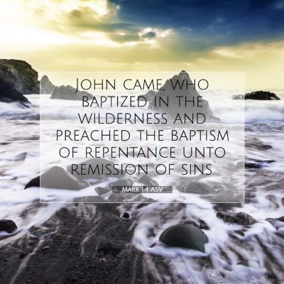 Picture 07 - Mark 1:4 ASV - John came, who baptized in the wilderness and - Bible Verse Picture