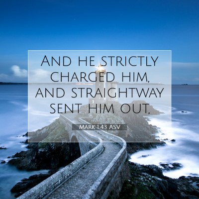 Picture 07 - Mark 1:43 ASV - And he strictly charged him, and straightway sent - Bible Verse Picture