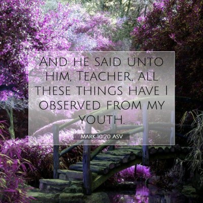 Picture 07 - Mark 10:20 ASV - And he said unto him, Teacher, all these things - Bible Verse Picture