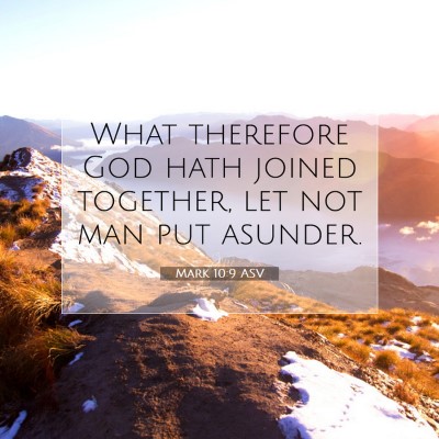 Picture 07 - Mark 10:9 ASV - What therefore God hath joined together, let not - Bible Verse Picture