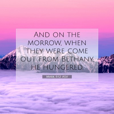Picture 07 - Mark 11:12 ASV - And on the morrow, when they were come out from - Bible Verse Picture