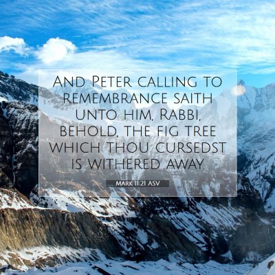 Picture 07 - Mark 11:21 ASV - And Peter calling to remembrance saith unto him, - Bible Verse Picture