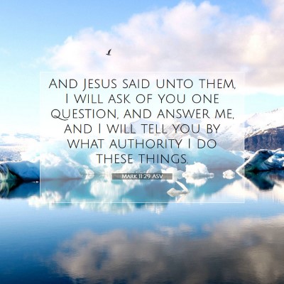 Picture 07 - Mark 11:29 ASV - And Jesus said unto them, I will ask of you one - Bible Verse Picture