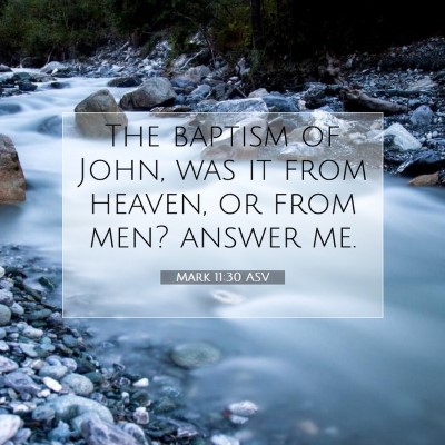 Picture 07 - Mark 11:30 ASV - The baptism of John, was it from heaven, or from - Bible Verse Picture