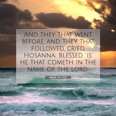 Picture 07 - Mark 11:9 ASV - And they that went before, and they that - Bible Verse Picture