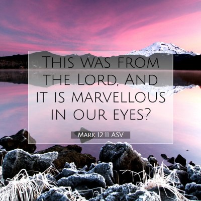Picture 07 - Mark 12:11 ASV - This was from the Lord, And it is marvellous in - Bible Verse Picture