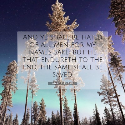 Picture 07 - Mark 13:13 ASV - And ye shall be hated of all men for my name's - Bible Verse Picture