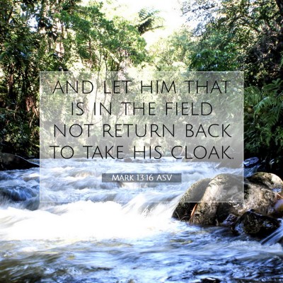Picture 07 - Mark 13:16 ASV - and let him that is in the field not return back - Bible Verse Picture