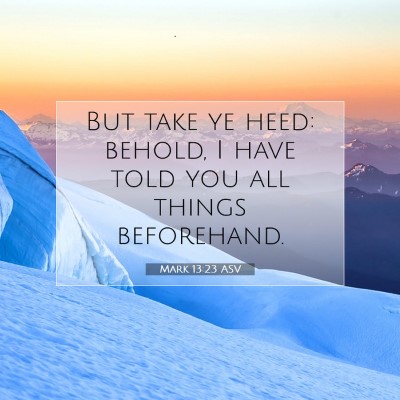Picture 07 - Mark 13:23 ASV - But take ye heed: behold, I have told you all - Bible Verse Picture