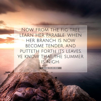 Picture 07 - Mark 13:28 ASV - Now from the fig tree learn her parable: when her - Bible Verse Picture