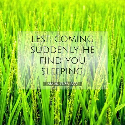 Picture 07 - Mark 13:36 ASV - lest coming suddenly he find you - Bible Verse Picture