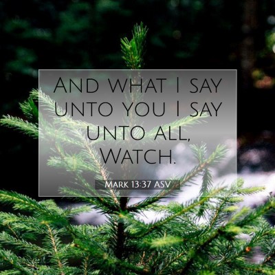 Picture 07 - Mark 13:37 ASV - And what I say unto you I say unto all, - Bible Verse Picture