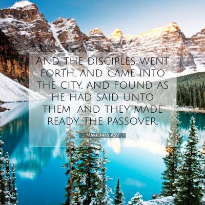 Picture 07 - Mark 14:16 ASV - And the disciples went forth, and came into the - Bible Verse Picture