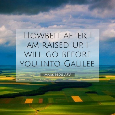 Picture 07 - Mark 14:28 ASV - Howbeit, after I am raised up, I will go before - Bible Verse Picture
