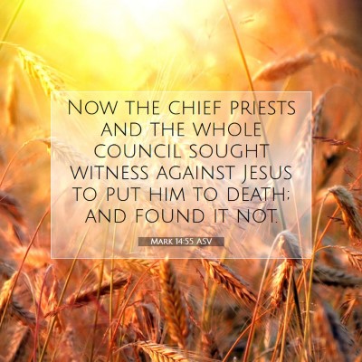 Picture 07 - Mark 14:55 ASV - Now the chief priests and the whole council - Bible Verse Picture