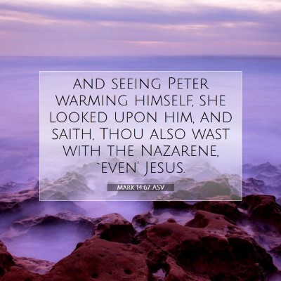 Picture 07 - Mark 14:67 ASV - and seeing Peter warming himself, she looked upon - Bible Verse Picture