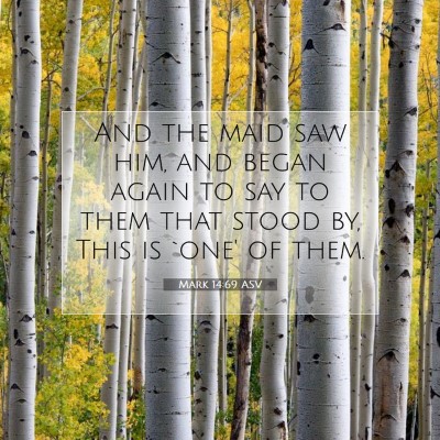 Picture 07 - Mark 14:69 ASV - And the maid saw him, and began again to say to - Bible Verse Picture