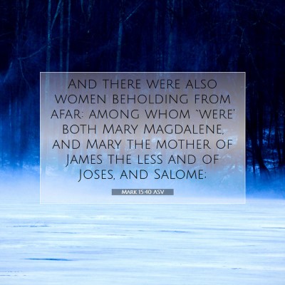Picture 07 - Mark 15:40 ASV - And there were also women beholding from afar: - Bible Verse Picture