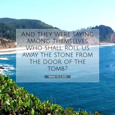Picture 07 - Mark 16:3 ASV - And they were saying among themselves, Who shall - Bible Verse Picture
