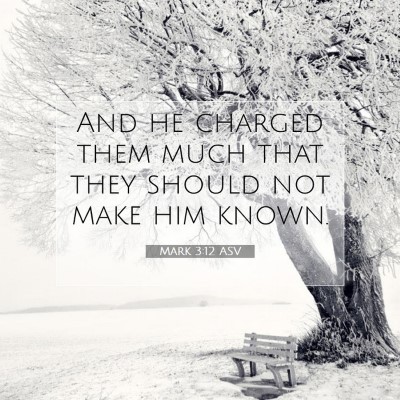 Picture 07 - Mark 3:12 ASV - And he charged them much that they should not - Bible Verse Picture