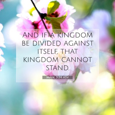 Picture 07 - Mark 3:24 ASV - And if a kingdom be divided against itself, that - Bible Verse Picture