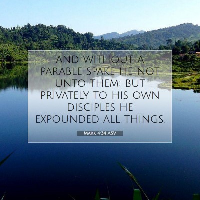 Picture 07 - Mark 4:34 ASV - and without a parable spake he not unto them: but - Bible Verse Picture