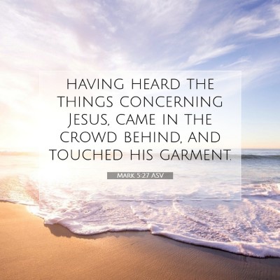 Picture 07 - Mark 5:27 ASV - having heard the things concerning Jesus, came in - Bible Verse Picture