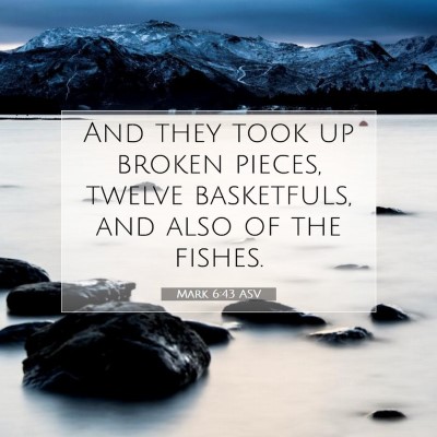 Picture 07 - Mark 6:43 ASV - And they took up broken pieces, twelve - Bible Verse Picture