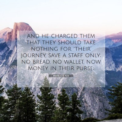 Picture 07 - Mark 6:8 ASV - and he charged them that they should take nothing - Bible Verse Picture