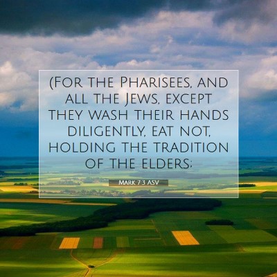 Picture 07 - Mark 7:3 ASV - (For the Pharisees, and all the Jews, except they - Bible Verse Picture