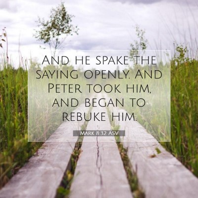 Picture 07 - Mark 8:32 ASV - And he spake the saying openly. And Peter took - Bible Verse Picture