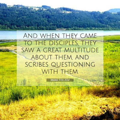 Picture 07 - Mark 9:14 ASV - And when they came to the disciples, they saw a - Bible Verse Picture