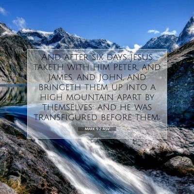 Picture 07 - Mark 9:2 ASV - And after six days Jesus taketh with him Peter, - Bible Verse Picture
