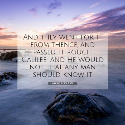 Picture 07 - Mark 9:30 ASV - And they went forth from thence, and passed - Bible Verse Picture