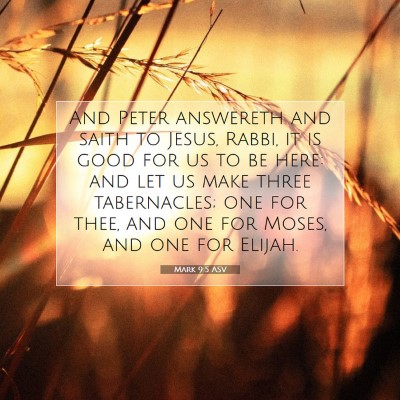 Picture 07 - Mark 9:5 ASV - And Peter answereth and saith to Jesus, Rabbi, it - Bible Verse Picture