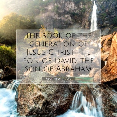 Picture 07 - Matthew 1:1 ASV - The book of the generation of Jesus Christ, the - Bible Verse Picture
