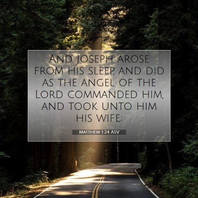 Picture 07 - Matthew 1:24 ASV - And Joseph arose from his sleep, and did as the - Bible Verse Picture