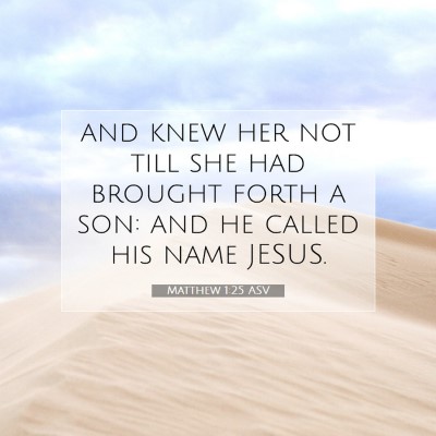 Picture 07 - Matthew 1:25 ASV - and knew her not till she had brought forth a - Bible Verse Picture